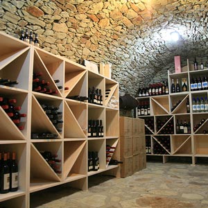 Structure: Cellar